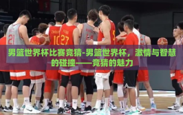 男篮世界杯比赛竞猜-男篮世界杯，激情与智慧的碰撞——竞猜的魅力
