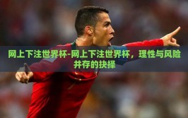 网上下注世界杯-网上下注世界杯，理性与风险并存的抉择