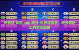 世界杯 竞猜 app 积分-世界杯竞猜，积分赛场上的智慧较量