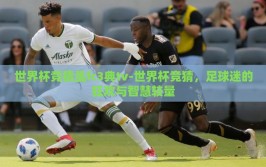 世界杯竞猜虽fc3典tv-世界杯竞猜，足球迷的狂欢与智慧较量