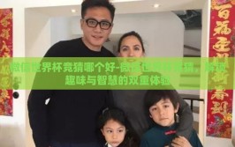 微信世界杯竞猜哪个好-微信世界杯竞猜，解锁趣味与智慧的双重体验