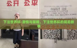 下注世界杯-激情与策略，下注世界杯的背后故事