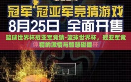 篮球世界杯冠亚军竞猜-篮球世界杯，冠亚军竞猜的激情与智慧碰撞