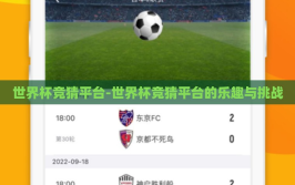 世界杯竞猜平台-世界杯竞猜平台的乐趣与挑战