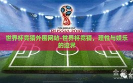 世界杯竞猜外围网站-世界杯竞猜，理性与娱乐的边界
