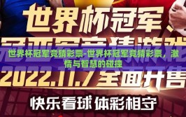 世界杯冠军竞猜彩票-世界杯冠军竞猜彩票，激情与智慧的碰撞