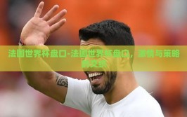 法国世界杯盘口-法国世界杯盘口，激情与策略的交织