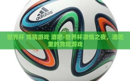 世界杯 竞猜游戏 酒吧-世界杯激情之夜，酒吧里的竞猜游戏