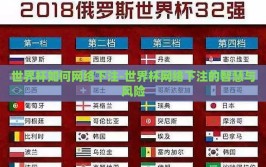 世界杯如何网络下注-世界杯网络下注的智慧与风险