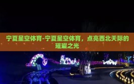 宁夏星空体育-宁夏星空体育，点亮西北天际的璀璨之光
