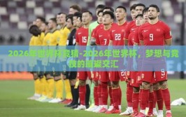 2026年世界杯竞猜-2026年世界杯，梦想与竞技的璀璨交汇