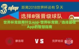 世界杯竞猜用什么app-世界杯竞猜，选择最佳App的智慧指南