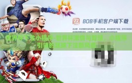 世界杯下注小程序-世界杯激情与智慧，小程序引领的足球下注新风尚