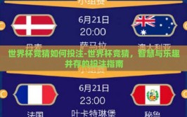 世界杯竞猜如何投注-世界杯竞猜，智慧与乐趣并存的投注指南