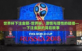 世界杯下注金额-世界杯，激情与理性的碰撞——下注金额的背后故事