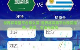 世界杯竞猜平台怎么买-世界杯竞猜平台购买指南，安全、合法与高效