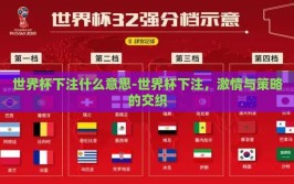 世界杯下注什么意思-世界杯下注，激情与策略的交织