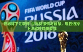 世界杯下注软件-世界杯激情与智慧，理性选择下注软件的重要性