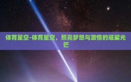 体育星空-体育星空，照亮梦想与激情的璀璨光芒