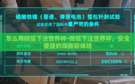 怎么用微信下注世界杯-微信下注世界杯，安全便捷的观赛新体验