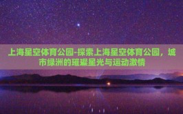 上海星空体育公园-探索上海星空体育公园，城市绿洲的璀璨星光与运动激情