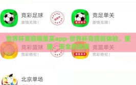 世界杯竞猜哪里买app-世界杯竞猜新体验，便捷、安全的选择