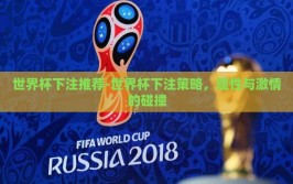 世界杯下注推荐-世界杯下注策略，理性与激情的碰撞