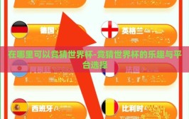 在哪里可以竞猜世界杯-竞猜世界杯的乐趣与平台选择