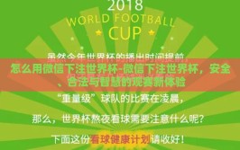 怎么用微信下注世界杯-微信下注世界杯，安全、合法与智慧的观赛新体验