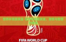 世界杯竞猜奖金-世界杯竞猜奖金，激情与智慧的碰撞