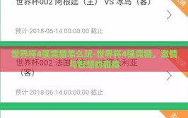 世界杯4强竞猜怎么玩-世界杯4强竞猜，激情与智慧的碰撞