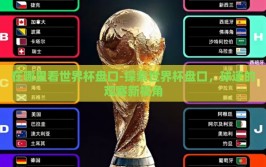 在哪里看世界杯盘口-探索世界杯盘口，球迷的观赛新视角