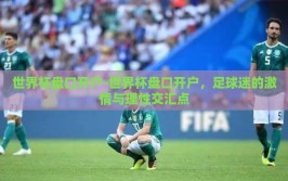 世界杯盘口开户-世界杯盘口开户，足球迷的激情与理性交汇点