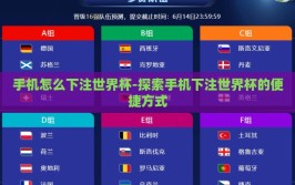 手机怎么下注世界杯-探索手机下注世界杯的便捷方式