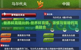 世界杯竞猜比例-世界杯竞猜，激情与策略的完美融合