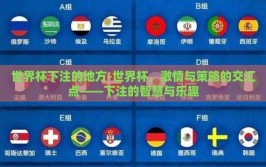 世界杯下注的地方-世界杯，激情与策略的交汇点——下注的智慧与乐趣