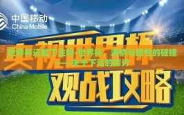 世界杯还能下注吗-世界杯，激情与理性的碰撞——关于下注的探讨