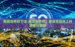 网易世界杯下注-网易世界杯，数字竞技场上的激情与策略