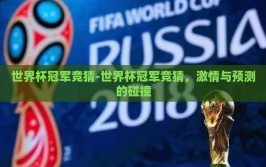 世界杯冠军竞猜-世界杯冠军竞猜，激情与预测的碰撞
