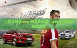 世界杯竞猜wey-世界杯竞猜，wey的激情与智慧碰撞