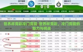 世界杯竞彩冷门竞猜-世界杯竞彩，冷门竞猜的魅力与挑战