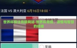 世界杯投注竞猜网站-世界杯竞猜，激情与智慧的碰撞
