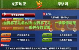 世界杯下注怎么玩-世界杯下注，一场激情与策略并存的冒险