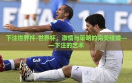 下注世界杯-世界杯，激情与策略的完美碰撞——下注的艺术