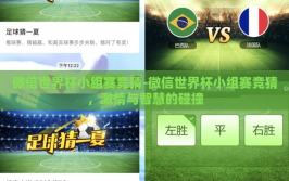 微信世界杯小组赛竞猜-微信世界杯小组赛竞猜，激情与智慧的碰撞