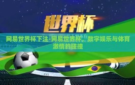 网易世界杯下注-网易世界杯，数字娱乐与体育激情的碰撞