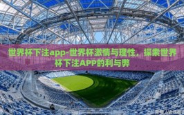 世界杯下注app-世界杯激情与理性，探索世界杯下注APP的利与弊