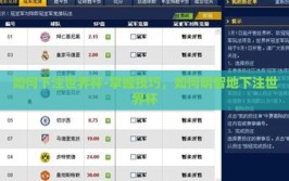 如何下注世界杯-掌握技巧，如何明智地下注世界杯