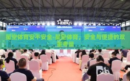 星空体育安不安全-星空体育，安全与便捷的双重考量