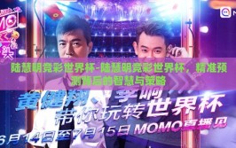 陆慧明竞彩世界杯-陆慧明竞彩世界杯，精准预测背后的智慧与策略